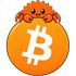 bitcoin-rs icon