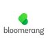 Bloomerang icon