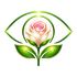 BloomsEye Studio icon