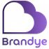 Brandye icon