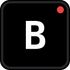 Bravsen icon