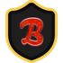 Brivembed icon