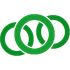 BrizoConsol icon