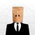 Brownbag icon