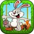 Bunny Run 2 icon
