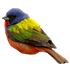 Bunting icon