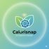 Calorisnap icon