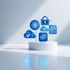 Canadian Cybersecurity Assessment icon
