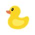 Career Duck icon