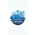 Carlytic icon