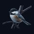 ChikaD icon