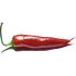ChiliProject icon