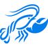 ClawX icon