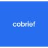 Cobrief icon