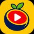 CocoFlix icon