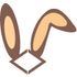 CodeBunny icon
