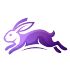 Conejo Survey icon