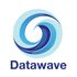 Datawave icon