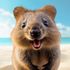 Deal Quokka icon