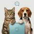 DeskPet icon