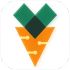 Digital Carrot icon