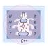 fcfTest icon