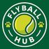 Flyball Hub icon