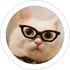 GoMakeGo icon