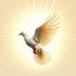 Grace Bible Software icon