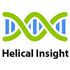 Helical Insight icon