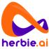 Herbie icon