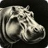 hippoxOS icon