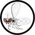 Hoverfly icon