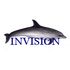 I-N-V-I-S-I-O-N icon