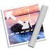 ImageSize icon