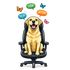 InterceptSuite  icon