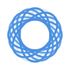 IntroJoy icon