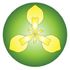 IrisBG icon