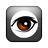 iSpy icon