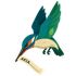 Kingfisher icon