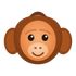 LAN Orangutan icon