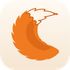 LayoutFox icon