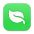 Leaf icon
