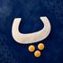 Learn Farsi icon