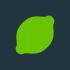 Lime Launcher icon