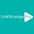 Linkstrategy icon