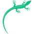 Lizard icon