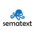 Sematext Synthetics icon