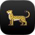 Mac Download Manager icon