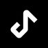 Metrolist icon